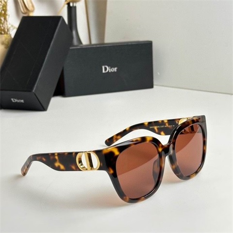 dior sunglass-160
